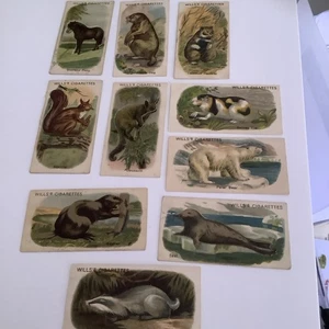 1913 Wills Specialities Cards Animals Cut-outs Ten K - Bild 1 von 2