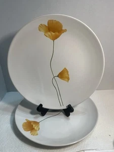 2 Pfaltzgraff Sunshine Pattern Dinner Plates 11" Nice 1539 - Picture 1 of 6