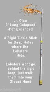 Jr. Claw TICKLE STICK Catch Lobster bug claw net bully pole bag dive snare snair - Picture 1 of 3
