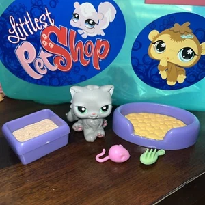Littlest Pet Shop LPS #81 Grey Gray Persian Cat Kitty Green Eyes w/Accessories - Picture 1 of 4