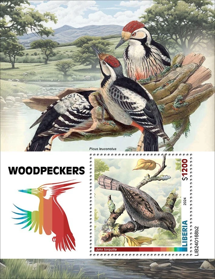 Estampillas de pájaros carpinteros MNH 2024 Liberia S/S Foto 1 de 1
