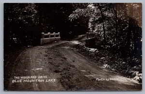 The Woodland Drive Blue Mountain Lake NY Adirondacks Henry Beach RPPC L7 - Imagen 1 de 3