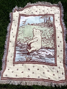 Vintage Leuchtfeuer Winnie Puuh Libelle Fluss Wandteppich Decke Pastell 63"x44" - Bild 1 von 6