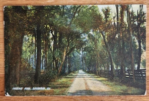 Ogeechee Road Savannah Georgia GA Postcard 1910s Rotograph Unused Germany - Picture 1 of 1