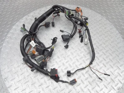 Harley Electra Glide 2005 FLHTCUI 70232-04 OEM carenado delantero cableado sub arnés Foto 1 de 4