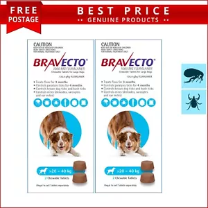 Bravecto For Large Dogs 20 - 40 kg (Blue) 4 Chews - Picture 1 of 2