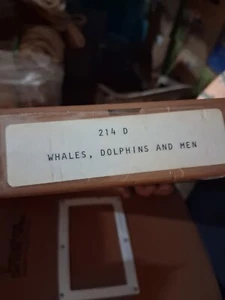 16mm Lehrfilm: WALE, DELFINE UND MÄNNER - Bild 1 von 2
