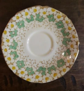 Paragon Hortensien Muster 5" Zoll Untertasse Bone China Blumen - Bild 1 von 6