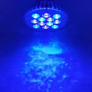 36W Ice Blue 470nm + Purple 420nm PAR38 LED Lamp Spot Light Bulb Plant Aquarium - Picture 1 of 9