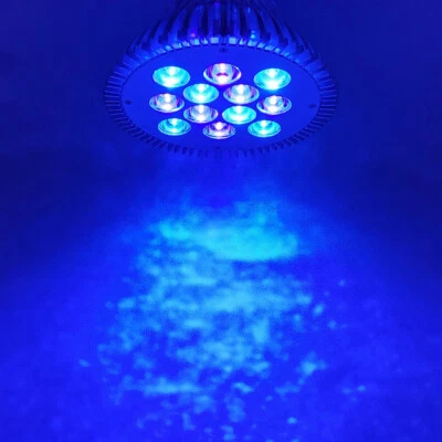 36W Ice Blue 470nm + Purple 420nm PAR38 LED Lamp Spot Light Bulb Plant Aquarium - Image 1 of 4