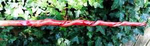 Natürliche Rebe gedreht Olivenholz Stab Hexe heidnisch Zauberer LARP Renaissance Jahrmarkt Z - Bild 1 von 9