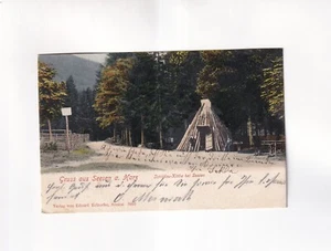 F249) GRUSS aus SEESEN a. HARZ - Schildau Köthe bei Seesen 1902 - Imagen 1 de 2