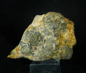 Marcasite / Tri-State Mining District, USA / Mineral Crystal Specimen - Picture 1 of 5