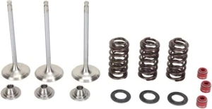 Stainless Intake Valve and Spring Kit Moose M80-80950 - Picture 1 of 1