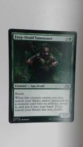 Fang-Druid Summoner - DFT - NM - DFT163021125 - Picture 1 of 2