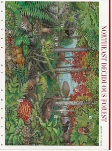 2005 37 cent NE Deciduous Forest full Sheet of 10 Scott #3899, Mint NH - Picture 1 of 1