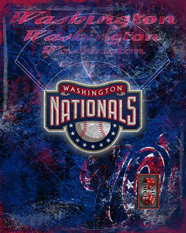 Washington Nationals 16x20inch Poster Nationals Baseball Free Shipping Us Cover