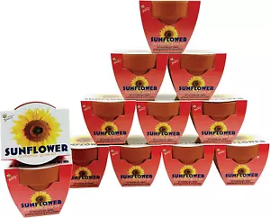 Seeds Terracotta Mini Grow Pots | Herb, Plant, Flower Starter Kit for Kids & Adu - Picture 1 of 12