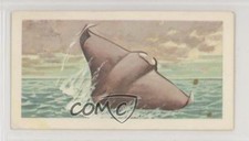 1958 Nabisco Canada Nature Untamed Food Issue Devil Fish #21 0ba6