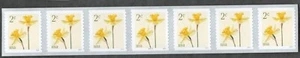 US. 5903. 2c. Daffodils. Coil PNC7 #B11111. MNH. 2024 - Picture 1 of 1