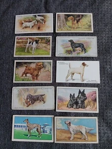 LOT OF 10 DOGS PLAYER'S CIGARETTES & GALLAHER CARDS VINTAGE TERRIER & MORE 1930s - Picture 1 of 10