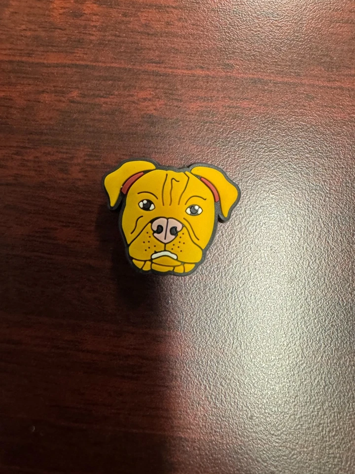 #2 PITBULL PERRO COCODRILO zapato encanto Foto 1 de 1