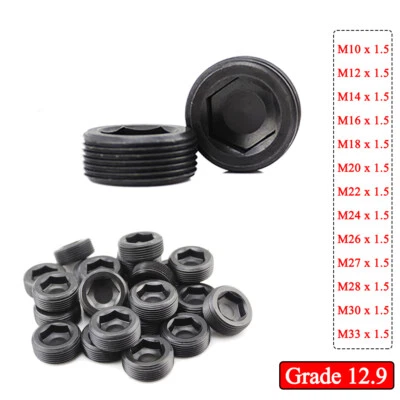 M10 ~ M33 Thread Pitch 1.5mm Hexagon Socket Plugs Set Screws 12.9 Steel DIN 906