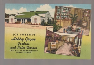 Tampa FLORIDA c1940 ADVERTISING CURTEICH LINEN Joe Sweeny's BAR GIFT SHOP FL B2 - Picture 1 of 2