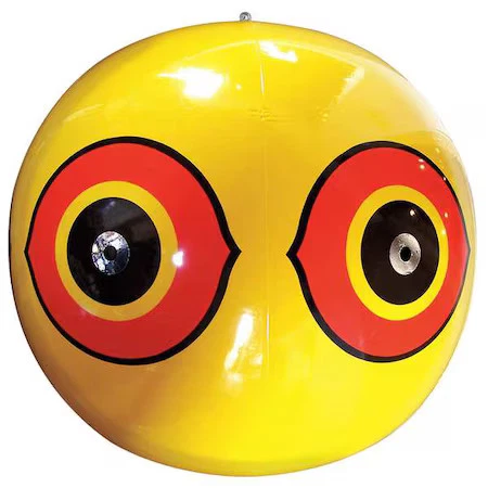 Bird-X Yellow Scare Eyes Visual Bird Repellers, Scare Eyes,  Yellow - Image 1 of 1
