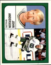1988-89 Panini Stickers Whalers Hockey Card #239 John Anderson