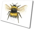 Bumble Bee Nature Paint Animals SINGLE Leinwand Kunst Bild drucken