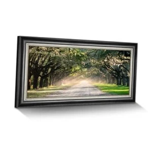 Framed Green Forest Wall Art: Nature Oak Tree Canvas Prints 57"x27" green tree - Picture 1 of 7