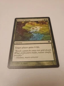 MTG Natural Spring Tenth Edition 281/383 Regular Common - Picture 1 of 3