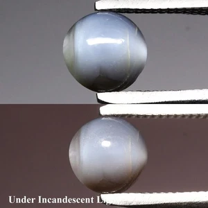 💎0.67ct Round Cabochon Natural Greenish Blue Cat's Eye Alexandrite - Russia Gem - Picture 1 of 6