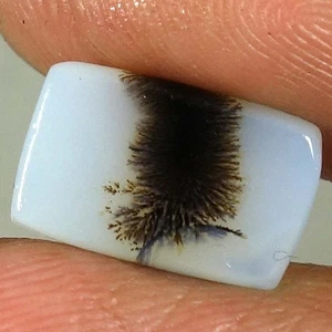 02.95Cts 100% Natural Scenic Dendrite Agate Cushion Cab Loose Gemstone 12x08x3mm - Picture 1 of 3
