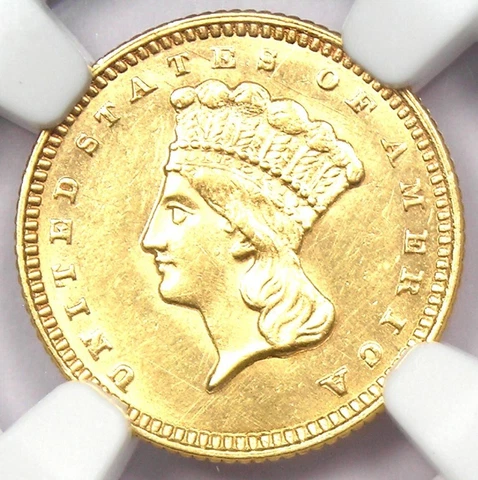 1873 Indian Gold Dollar G$1 Coin - Certified NGC Uncirculated Details (UNC MS) Cover