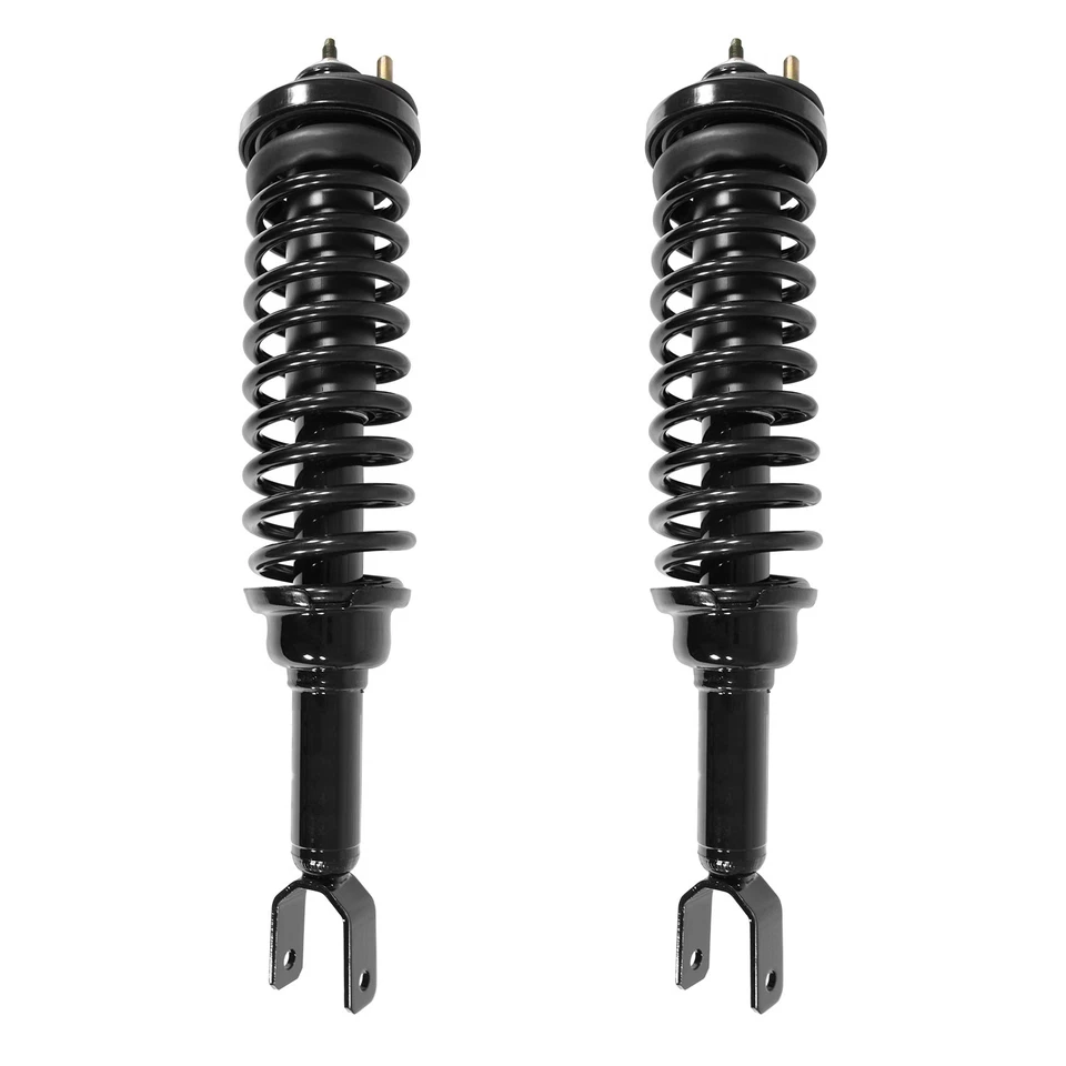 Rear Complete Struts Shocks Set of 2 for 1997-2000 Acura EL - Изображение 1 из 1