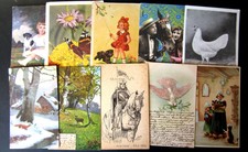 Animali- Lotto da 20 cartoline -