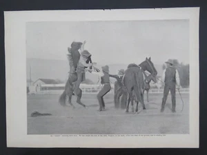 1905 B&W 9x13 Litografía Vaqueros Bronco Busting Outlaw Horses Artículo 2 Caras - Imagen 1 de 2