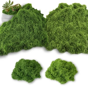 200g Muschio Artificiale per la Decorazione Finto per Presepe Decorazioni - Foto 1 di 24