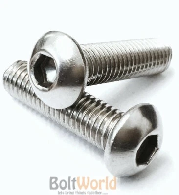 BOLT WORLD Bulloni testa bottone presa 1/4", UNC A2 VITI ACCIAIO INOX, HARLEY IMPERIAL