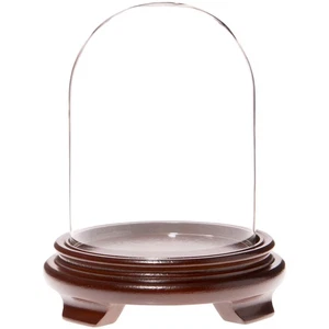 Plymor 4.5" x 6" Glass Display Dome Cloche (Walnut Wood Veneer Footed Base) - Picture 1 of 1