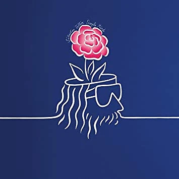 Sébastien Tellier Simple Mind - LP 33T - Photo 1/2