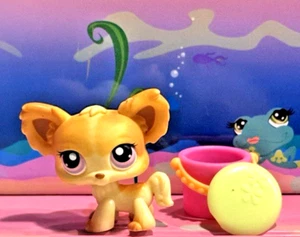 Littlest Pet Shop LPS Authentic Creme Caramel Chihuahua Dog #96 - Picture 1 of 5