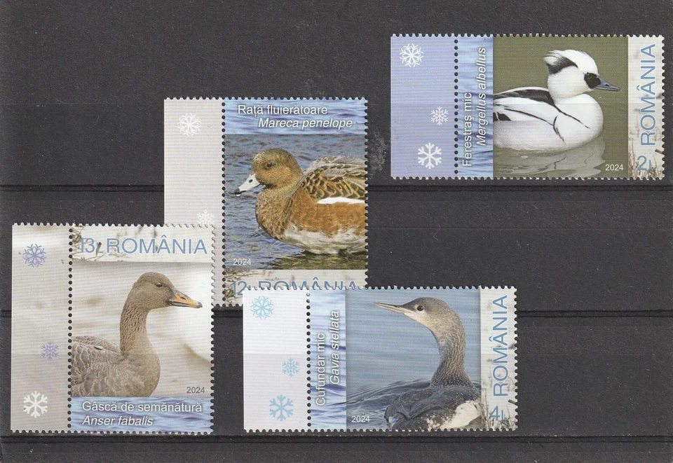 Rumania SELLOS 2024 AVES DE INVIERNO POST MNH Foto 1 de 1