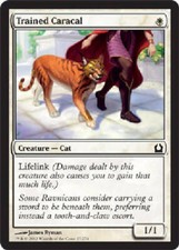 TRAINED CARACAL Return to Ravnica MTG Magic the Gathering Cards DJMagic
