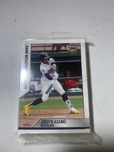 Burlington Bees Team Set 2019 Burlington Bees Complete Team Set - Bild 1 von 2