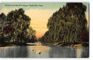 Schwäne am Lake Wautauga, Nashville TN - um 1910 Postkarte - Bild 1 von 2