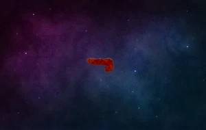 cheeto shaped like "Super penis" great... - Picture 1 of 2