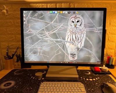 Microsoft Surface Studio 2 - AIO 28'' touch screen - i7-7820HQ - 16 GB - 1 TB - Immagine 1 di 4